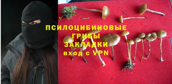 прущие крисы Белоозёрский
