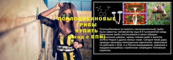 прущие крисы Белоозёрский