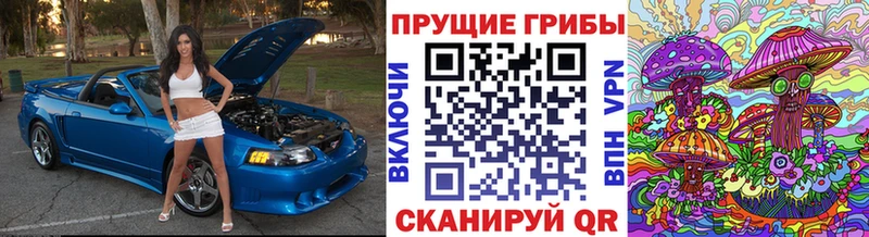 где можно купить наркотик  мега вход  Псилоцибиновые грибы ЛСД  Шуя 